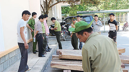 Lực lượng công an và kiểm lâm Thanh Hóa làm việc với chủ hàng và kiểm tra chiếc xe chở gỗ