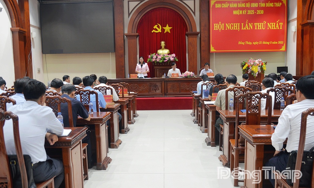 Hội nghị Ban Chấp hành Đảng bộ UBND tỉnh Đồng Tháp lần thứ I, nhiệm kỳ 2025 - 2030